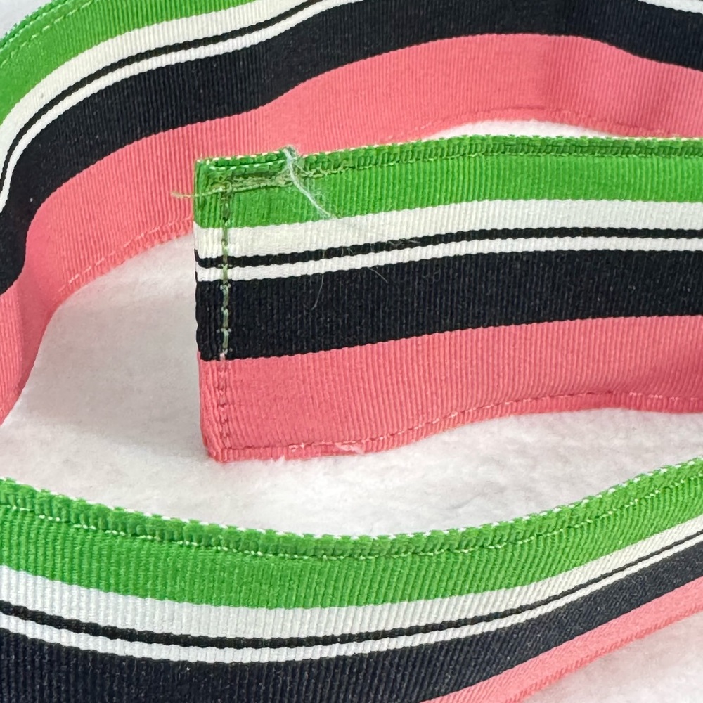 J. Crew Vibrant Preppy Pink Green Blue and White Striped Belt with Silver Rings - Picture 4 of 13